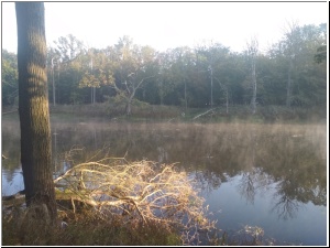 2019drapieznik17.jpg