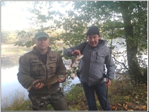 2019drapieznik18.jpg