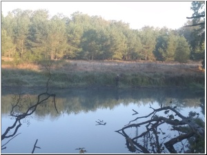 2019drapieznik21.jpg