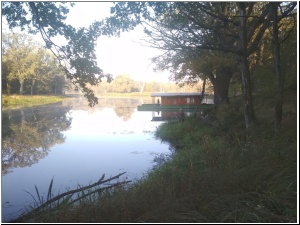 2019drapieznik32.jpg