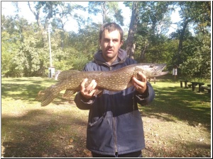 2019drapieznik37.jpg