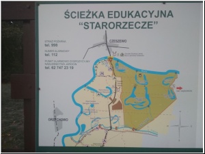 2019drapieznik9.jpg